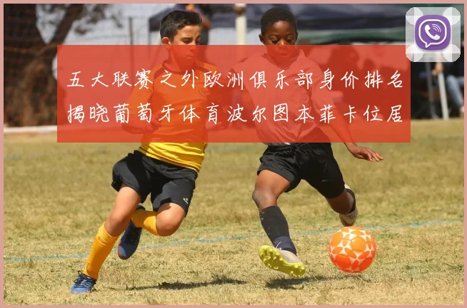 五大联赛之外欧洲俱乐部身价排名揭晓葡萄牙体育波尔图本菲卡位居前三