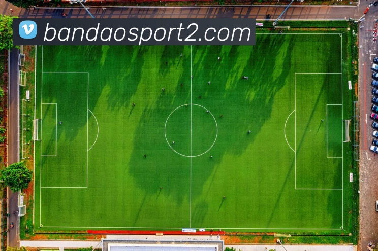 半岛体育全站App